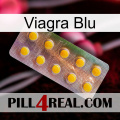 Viagra Blu new11